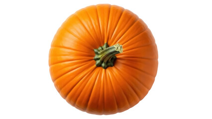 Vibrant orange pumpkin isolated PNG on transparent background, autumn harvest vegetable for Halloween and Thanksgiving designs