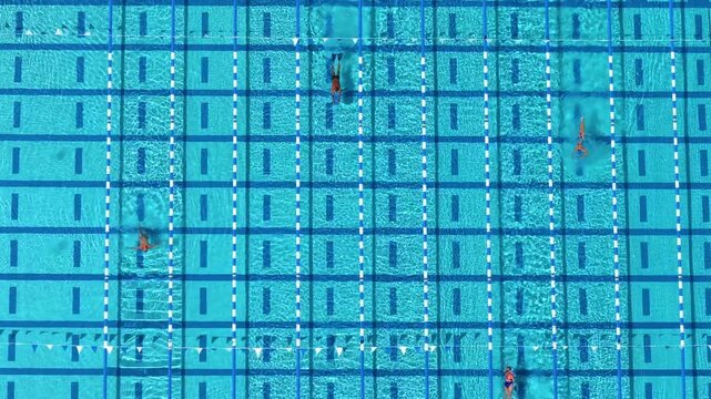 Large swimming pool marked with lanes as swimmers practice endurance training. Healthy lifestyle and water sport activities concept.