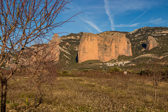 Almond Trees in Winter with the Mallos de Riglos Cliffs in the Background, Aragon, Spain