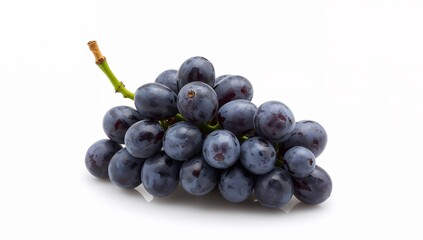 Fototapeta premium Bunch of Orbicular Delights. An Arrangement of Dark, Spherical Forms with a Green Stem.