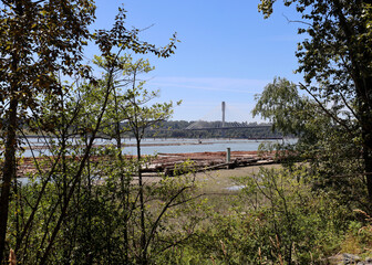 Fraser River view with timber logs and suspension bridge