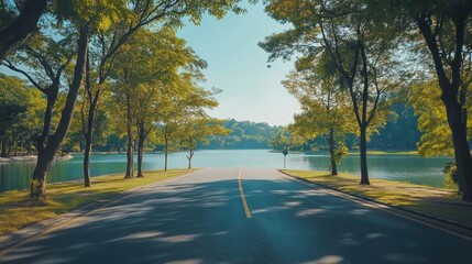 Scenic Road Leading to Serene Lake Surrounded by Lush Green Trees