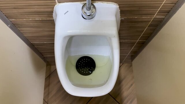 Wall Urinal With Yellow Liquid Urine, Tiled Wall And Beige Partition, Chrome Drain Valve Above The Bowl, Dark Drain Grate With Residue, Visible Stains And Discoloration Of Porcelain