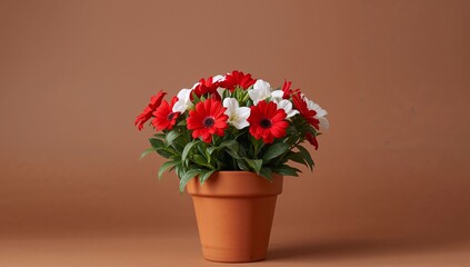 Fototapeta premium Floral Arrangement with Red and White Blossoms in a Terracotta Pot on Plain Backdrop.