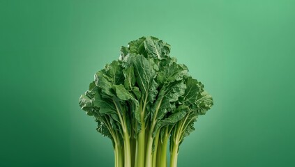 Verdant Cluster on Emerald Field, A Study in Organic Form and Chromatic Harmony.