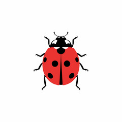 Ladybug Vector Illustration Isolated on White Background
