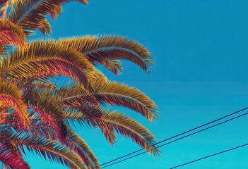 Golden palm fronds against a vibrant cyan sky with power lines