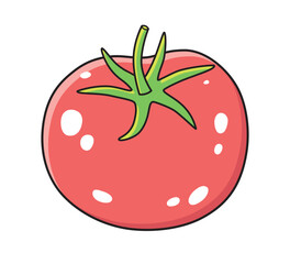 Red tomato illustration isolated vector