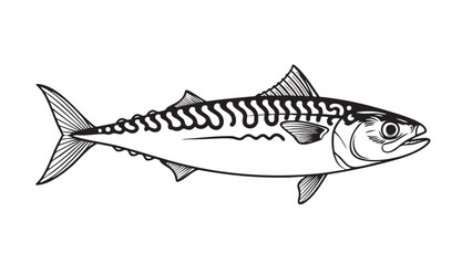 Fototapeta premium A detailed black and white illustration of a mackerel fish viewed from the side, showcasing its distinctive striped pattern and sleek body shape.