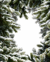 Snowy Pine Branches Frame Winter Holiday Background