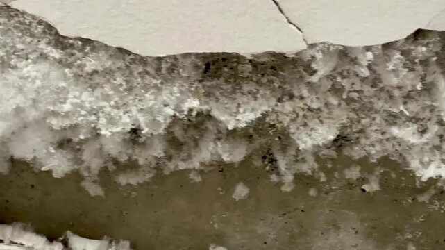 A close-up shot of a damaged wall with a crack and white mold and mildew growing in it. Mold and mildew are hazardous to human health.