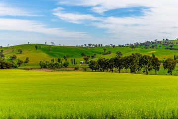 Riverina Countryside in Spring &ndash; Lush Fields Under Clouded Skies