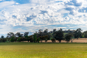 Riverina Countryside in Spring &ndash; Lush Fields Under Clouded Skies