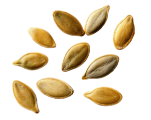Scattered pumpkin seeds on black, highlighted with side-lighting