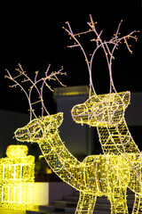 Illuminated reindeer sculptures with twinkling lights at night