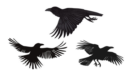 Black crow flying silhouette, dark mysterious bird in motion, gothic symbol isolated on white or black background