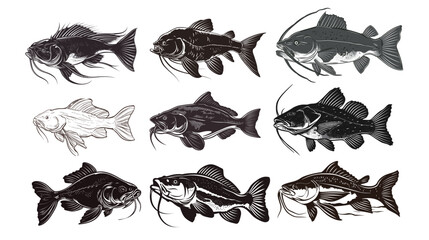 Black bullhead catfish line art illustration, black and white outline drawing of freshwater catfish with whiskers, minimalist fish sketch isolated on white background