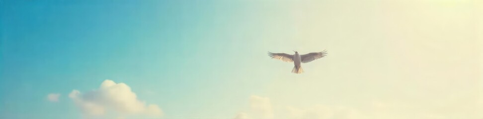 Obraz premium A lone bird in flight, wings outstretched against a vast, clear sky, symbolizing limitless freedom and boundless possibilities The image evokes a sense of escape and liberation , sun, open