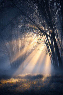 Broken rays of sun streaking through swirli