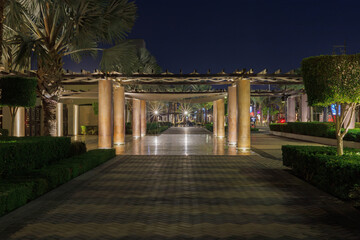 Elegant outdoor walkway with palm trees and warm lighting at night