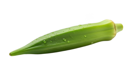 Fresh green okra pod isolated on transparent background with natural texture