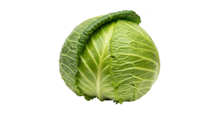 Fresh green cabbage head isolated on transparent background for healthy eating