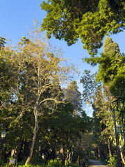 世界周遊アドリア海クルーズ　コルフ島モンレポス