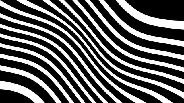 This video features a seamless, looping animation of monochrome wavy lines drifting smoothly across the frame. The high-contrast black and white stripes create a hypnotic, psychedelic effect, resembli