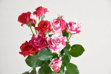 赤とピンクのばら