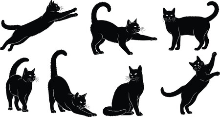 Black cat silhouette vector illustration set, various feline poses and domestic kitty icons, pet animal collection isolated on white background for  © Parvej Creatives