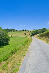 길거리, 경관, sky, 네이처, 들판, 목초, 농촌, 경로, 국가, 시골, green, 여름, 목초지, 나무, 구름, 때, 여행, 경작, 수평선, 대지, 길, 고개, 경치