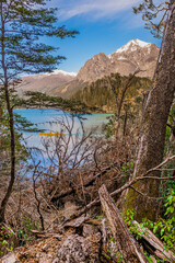 Arrayanes Trail, Lake Moreno West, Bariloch, Rio Negro Province, Argentine Patagonia.