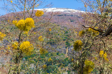 On the Road, Cerro Tronador, Bariloche, Rio Negro Province, Patagonia, Argentina