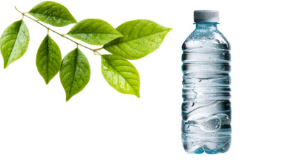 Refreshing pure water bottle with water drops and fresh green leaves, symbolizing health and nature for beverage advertising and wellness promotion