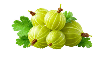 Fresh ripe green gooseberries with water droplets and leaves presented in a delightful cluster, perfect for showcasing healthy organic produce or culinary ingredient concepts.
