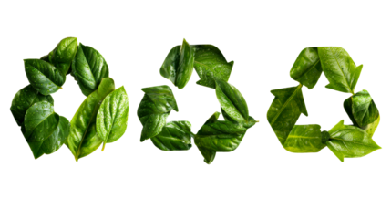Eco friendly recycling symbols formed from lush green wet leaves conveying sustainability and environmental protection for ecological campaigns and green initiatives.