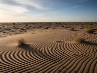 Golden Sands under the Blue Sky: An expansive desert landscape, with meticulously patterned sand dunes stretching towards the horizon, beneath a vast blue sky.