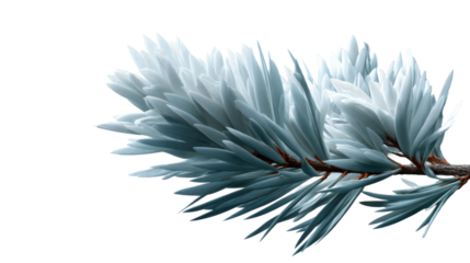 Captivating close up of a stylized botanical branch showcasing intricate textured foliage in cool muted tones perfect for conceptual nature designs or seasonal greetings