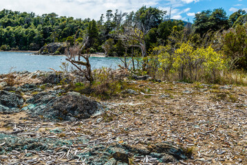 Bahia de los Troncos, Circuito Chico, Bariloche, Rio Negro Province, Argentine, Patagonia.