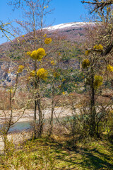 On the Road, Cerro Tronador, Bariloche, Rio Negro Province, Patagonia, Argentina