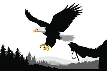 Bald Eagle Taking Flight from Handler in Forest Landscape, freedom symbol concept