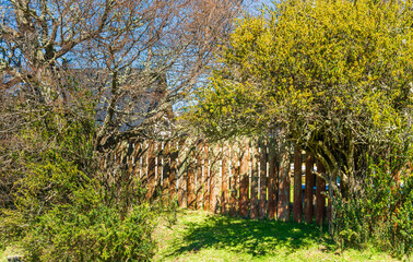 On the Road, Cerro Tronador, Bariloche, Rio Negro Province, Patagonia, Argentina