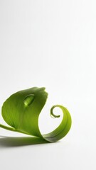 green leaf nature minimal background