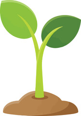 Spring Plant Sprout Illustration