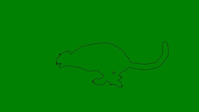 A drawing of cat on green background and panther black white kangaroo horse green screen animated chromakey background colorful emotion depth scene frame illustration expression layers
