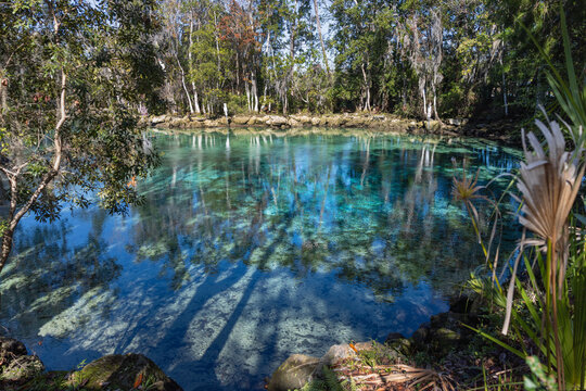 Three Sisters springs in Crystal River, Florida