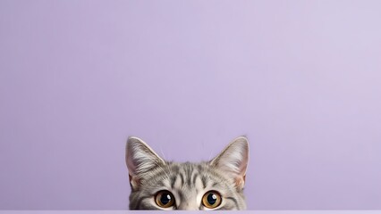 Attentive Domestic Cat with Golden Eyes