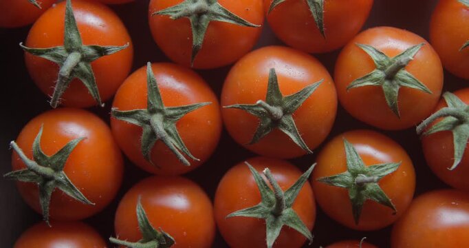 Cherry tomatoes with water drops close up studio shot over rotating