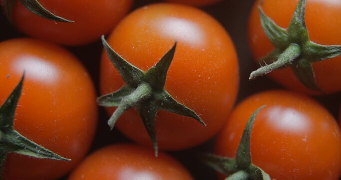 Cherry tomatoes with water drops close up studio shot over rotating