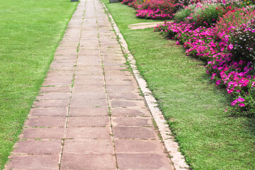 Pavement block in garden colorful blossom background